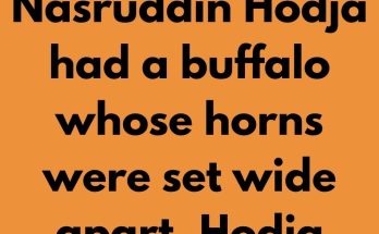 Nasruddin Hodja had a buffalo whose horns were set wide apart. Hodja often felt an urge to sit on the animal's head between the horns, but never dared try it. One day the animal came and sat down very near him.