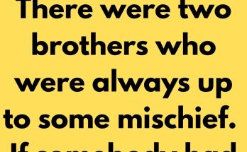There were two brothers who were always up to some mischief. If somebody had been locked up in his house or if somebody's dog had been painted green, one always knew who the culprits were the brothers. One day the boys' mother asked a priest to talk to her sons and put the fear of God in them so that they would mend their ways.
