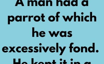 A man had a parrot of which he was excessively fond. He kept it in a silver cage and fed it fruits and nuts and anything else the bird asked for, for the parrot was so clever it could engage in conversation. The parrot longed for freedom and often asked for it but the merchant would always reply: "Ask for anything else."