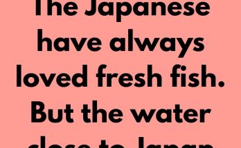 The Japanese have always loved fresh fish. But the water close to Japan has not held many fishes for decades. So to feed the Japanese population, fishing boats got bigger and went farther than ever. The further the fishermen went, the longer it took to bring the fish. If the return trip took more time, the fish were not fresh.