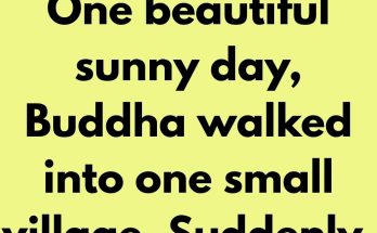 One beautiful sunny day, Buddha walked into one small village. Suddenly, a young man approached him and started offending him. He said: “Who are you to teach the world? You are just as dumb as everyone else, and you are a scammer!” Buddha was not upset by this.