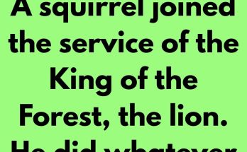A squirrel joined the service of the King of the Forest, the lion. He did whatever work was given him, quickly and well. The lion became fond of him and promised to give him a cartload of almonds as pension when he retired.