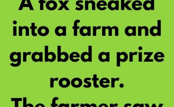 A fox sneaked into a farm and grabbed a prize rooster. The farmer saw him and raised the alarm and he and his dogs started chasing the thief. The fox, though he was holding the rooster in his mouth, was running very fast. "Get him! Get him!" shouted "No!" suddenly screamed the rooster. "Don't come near me!"