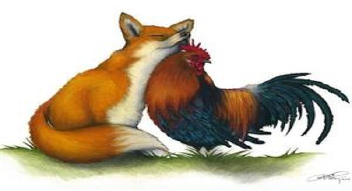The Fox The Rooster - Aesop ‣ The Fox & The Rooster