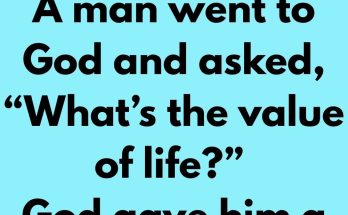 A man went to God and asked, “What’s the value of life?” God gave him a stone and told him to figure out its value without selling it. The man then took the stone to an orange seller and asked about its value.