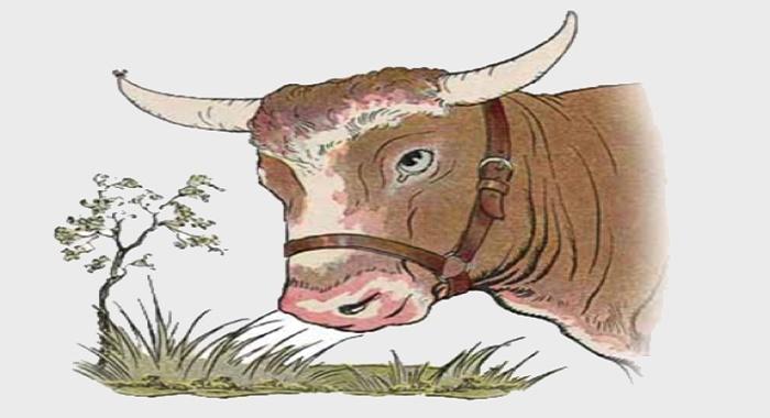 The Bull The Gnat 2 - Aesop ‣ The Bull & The Gnat