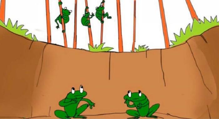 Two Frogs - Two Frogs - Story
