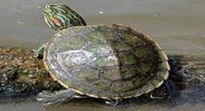 All The Difference In The World - All The Difference In The World - Story