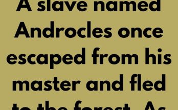 A slave named Androcles once escaped from his master and fled to the forest. As he was wandering about there he came upon a Lion lying down moaning and groaning. At first he turned to flee, but finding that the Lion did not pursue him, he turned back and went up to him.
