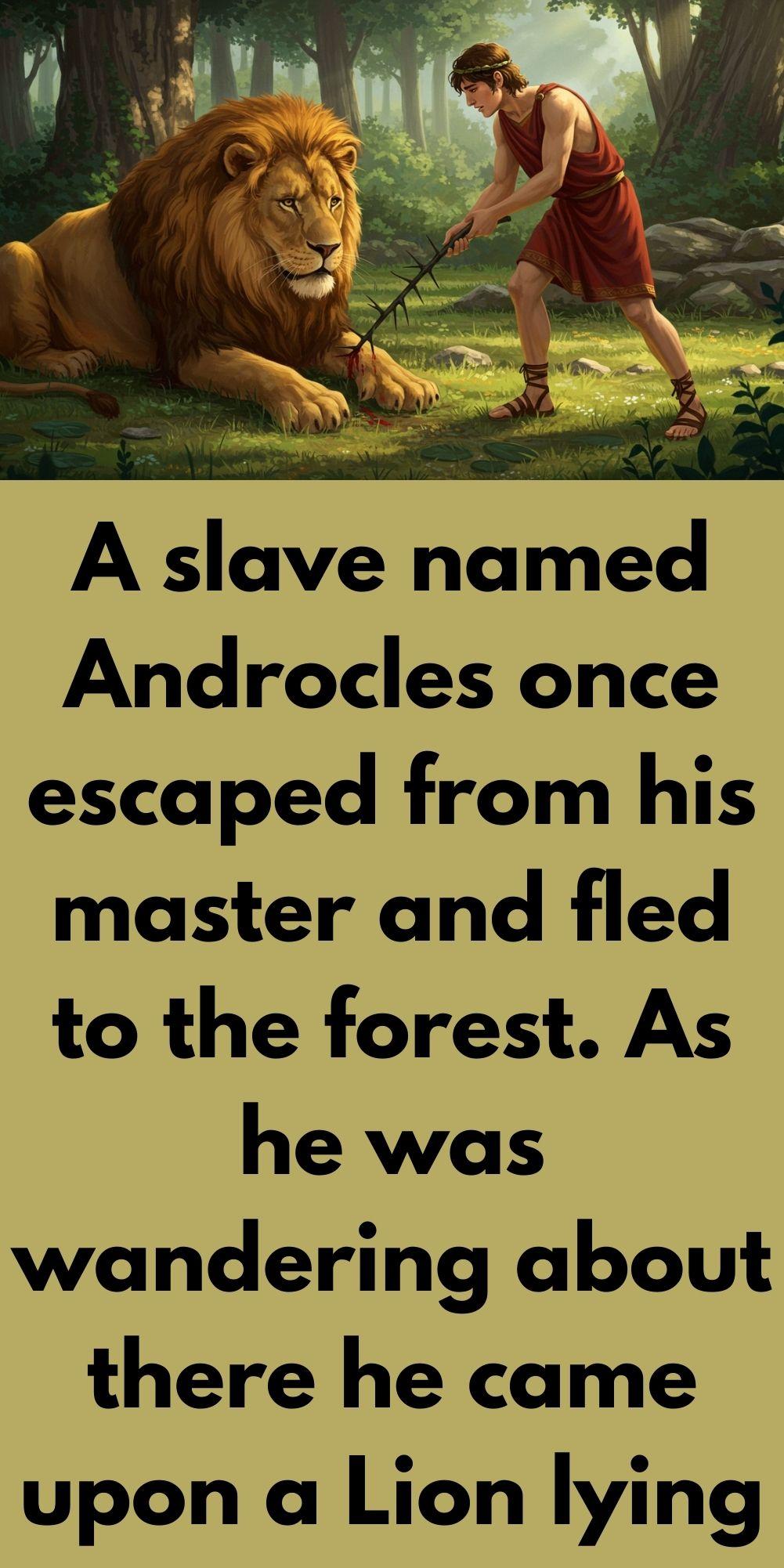 Androcles And The Lion 1 - Story