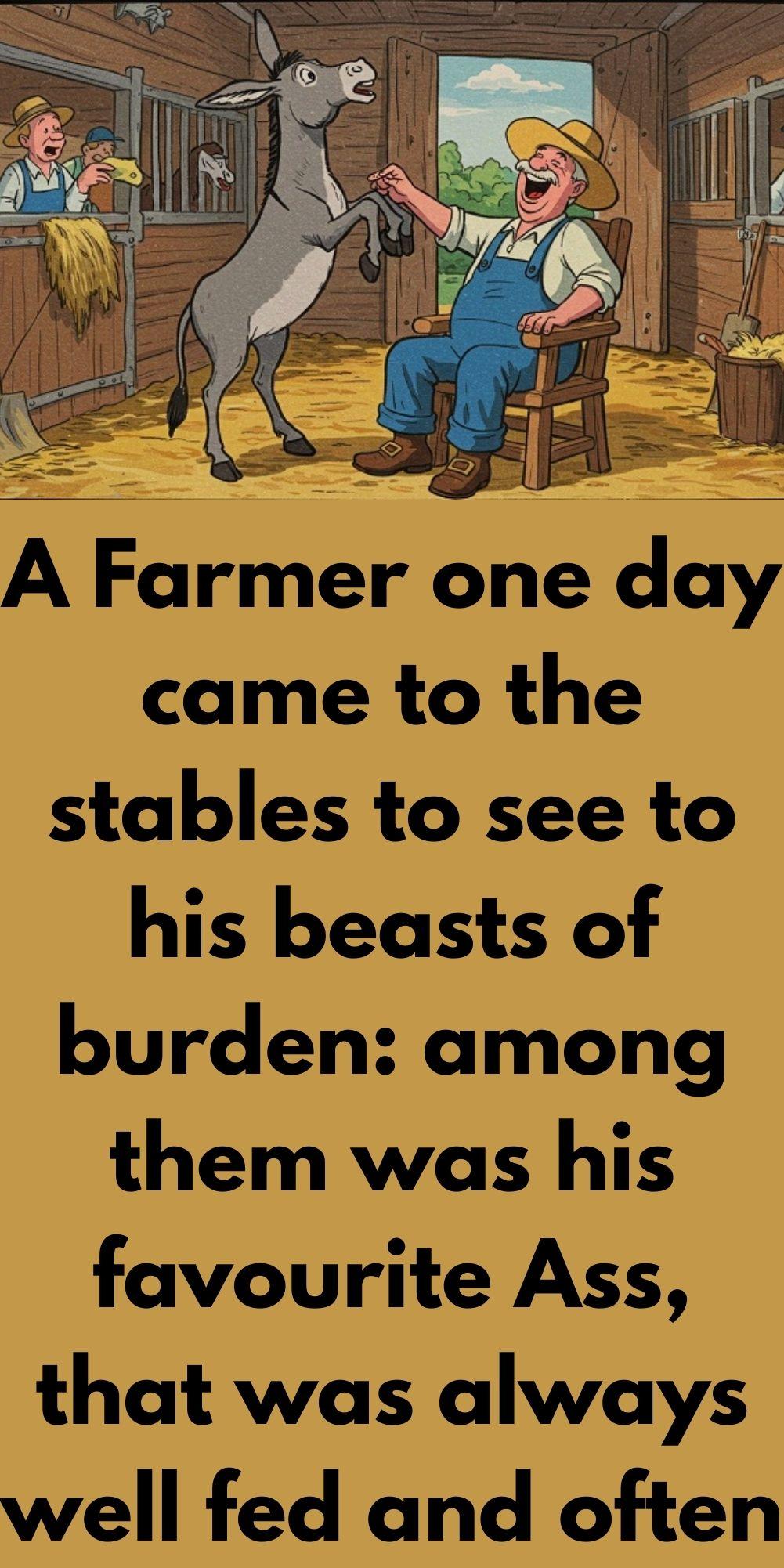 The Ass And The Lapdog 1 - Story