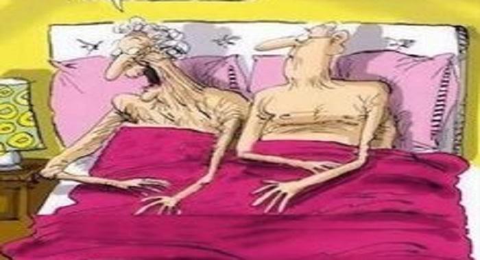 The Sex Life of an Elderly Couple 2 - Funny Joke ‣ The Sex Life of an Elderly Couple