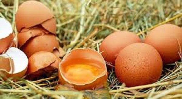 A Not So Nice Old Man 1 - A Not So Nice Old Man - Story