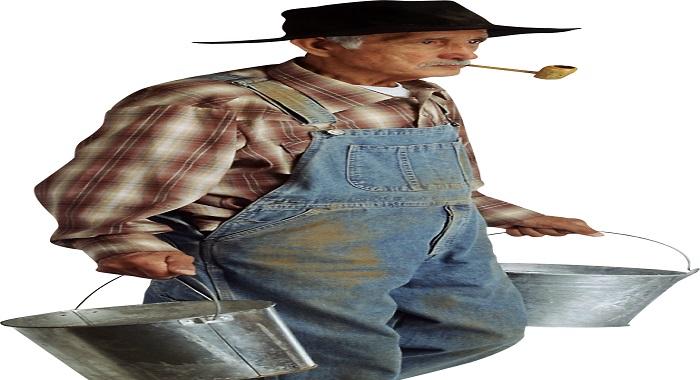 Farmer - Story Farmer 1 - Farmer - Story